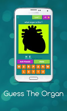 Guess The Organ - Screenshot 1