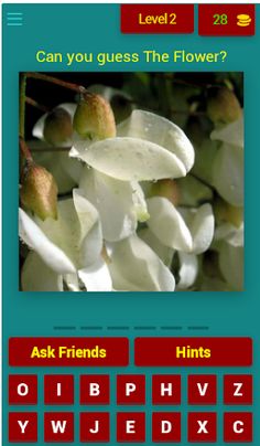 Flowers Quiz - Screenshot 3