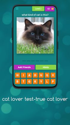 cat lover test-true cat lover - Screenshot 3