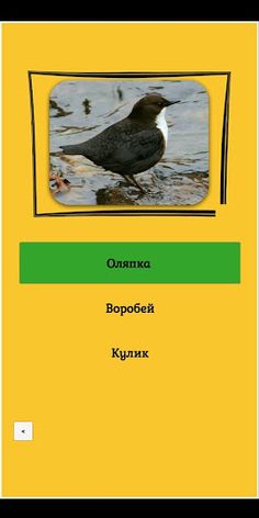 Загадки о животных 3. Птицы - Screenshot 2
