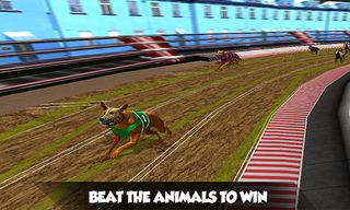 Crazy Real Dog Race: Greyhound - Screenshot 3