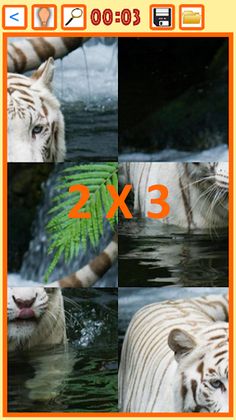 Creation of Nature Tile Puzzle - Screenshot 4