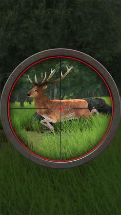 Animal Hunting: Deer Game - Screenshot 4