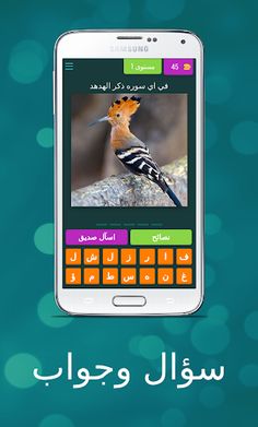 اسئلة واجوبة - Screenshot 1