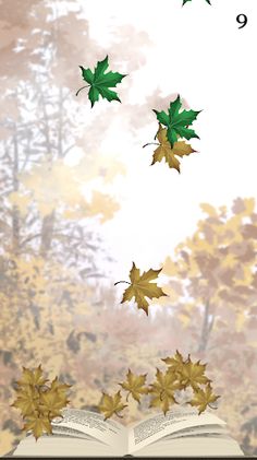 Wind For Maple Leaf - Screenshot 3