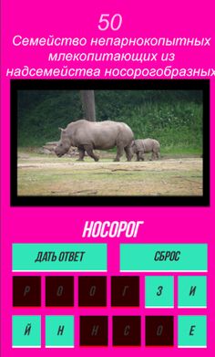 Quiz: guess the animal by the - Screenshot 2