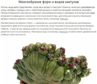 Все о кактусах - Screenshot 1