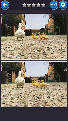 Find the difference - Screenshot 4