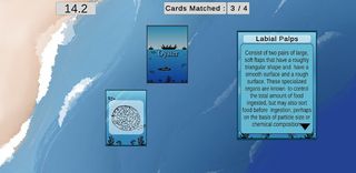 Oyster Card Matching - Screenshot 1