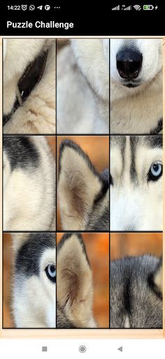 Puzzle Challenge: Brain Teaser - Screenshot 3