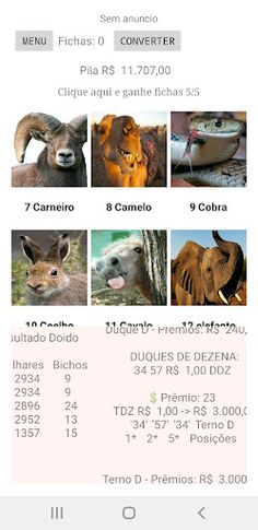 Jogo Do Bicho Doido - Screenshot 4