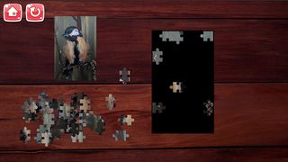 Legacy Puzzle - Screenshot 3