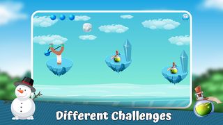 Bottle Shooting Game - Screenshot 3