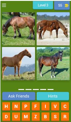 Animal quiz - Screenshot 4