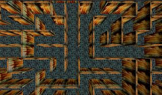 Maze Runner - Screenshot 1