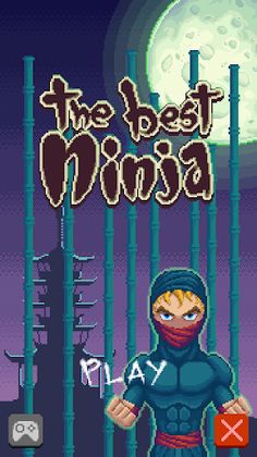 The Best Ninja - Screenshot 1