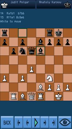 Napo Chess - Screenshot 4
