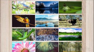 Amazon Puzzle - Screenshot 2