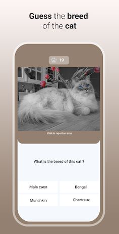Quiz Cat - Guess the Cat Breed - Screenshot 1
