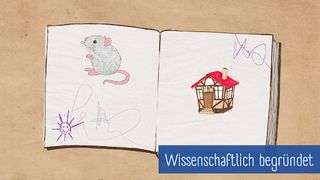 PiAS Lernreise REIME - Screenshot 3