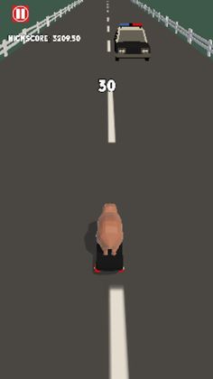 Skateboard Capybara - Screenshot 4