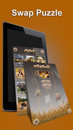 Swap Puzzle - Screenshot 2