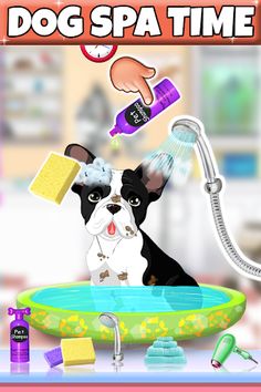 Pet Vet Animals Daycare Games - Screenshot 1