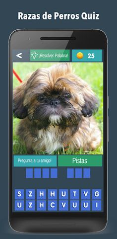 Razas de Perros Quiz 2021 - Screenshot 4