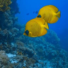 HD Jigsaw Puzzle Game - Screenshot 3