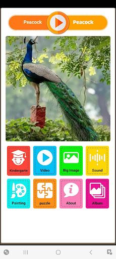 Mr Ghooghooli - Animal sounds - Screenshot 2