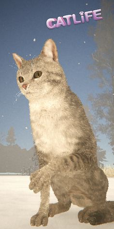 CATLIFE - Screenshot 3