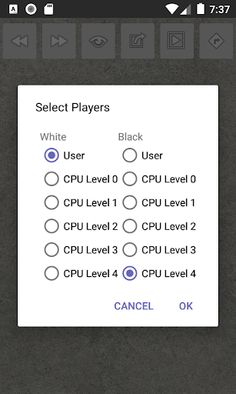 Sittuyin - Screenshot 3