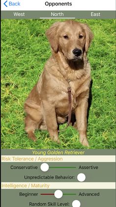 K9 Shanghai Rummy - Screenshot 3