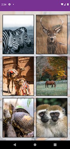 Jigsaw Puzzles - Puzzle Offlin - Screenshot 4