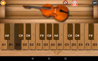 Professional Double Bass - Screenshot 3