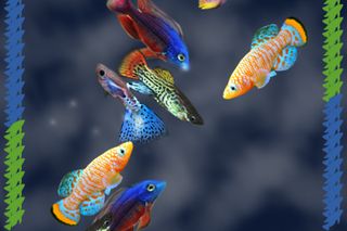 Koan Moon - Screenshot 3