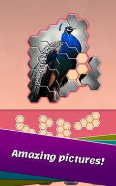 Animals Jigsaw! - Hexa puzzle - Screenshot 3