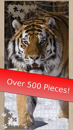 Tiger Jigsaw Puzzles HD - Big  - Screenshot 1