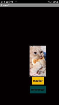 Gatos - Screenshot 4