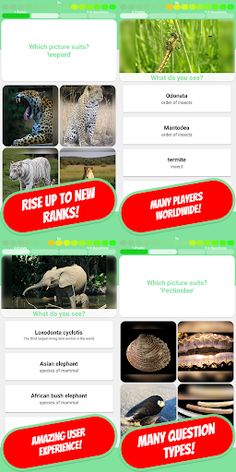 ANIMALS & PETS Quiz 2020 - Screenshot 2