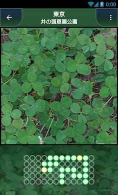 Four-Leaf Clover - Screenshot 1