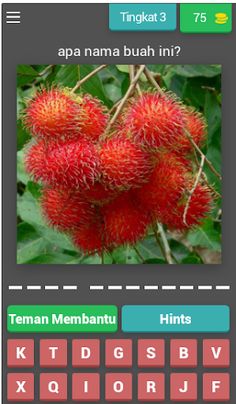 tebak gambar buah tebak buah - Screenshot 4