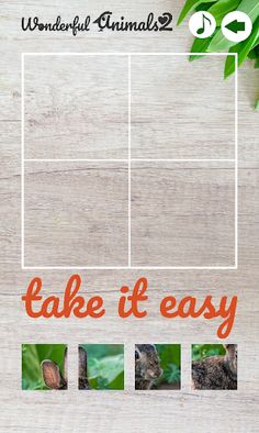 Wonderful Animals 2 - Screenshot 3