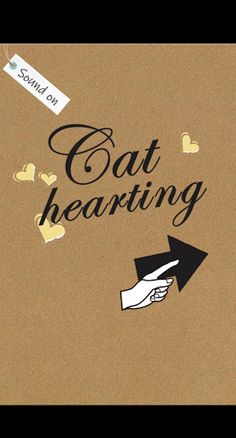 Cat hearting and Block scraps - Screenshot 1