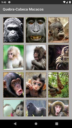 Quebra-Cabeças Macacos Puzzles - Screenshot 3