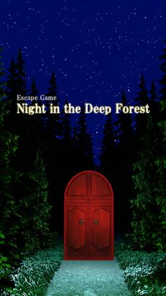 Night in the Deep Forest - Screenshot 1