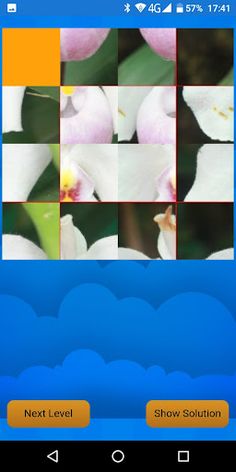 Schiebepuzzle Orchidee - Screenshot 3