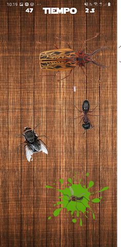 Mosca aplasta kill bugs games - Screenshot 4