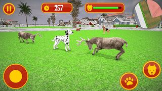 Dog Fighting Simulation Game - Screenshot 3