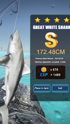 fishing master - Screenshot 4